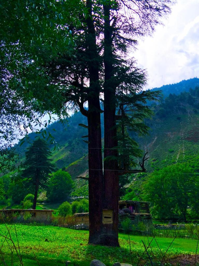 Chitral Inn Resort Екстериор снимка