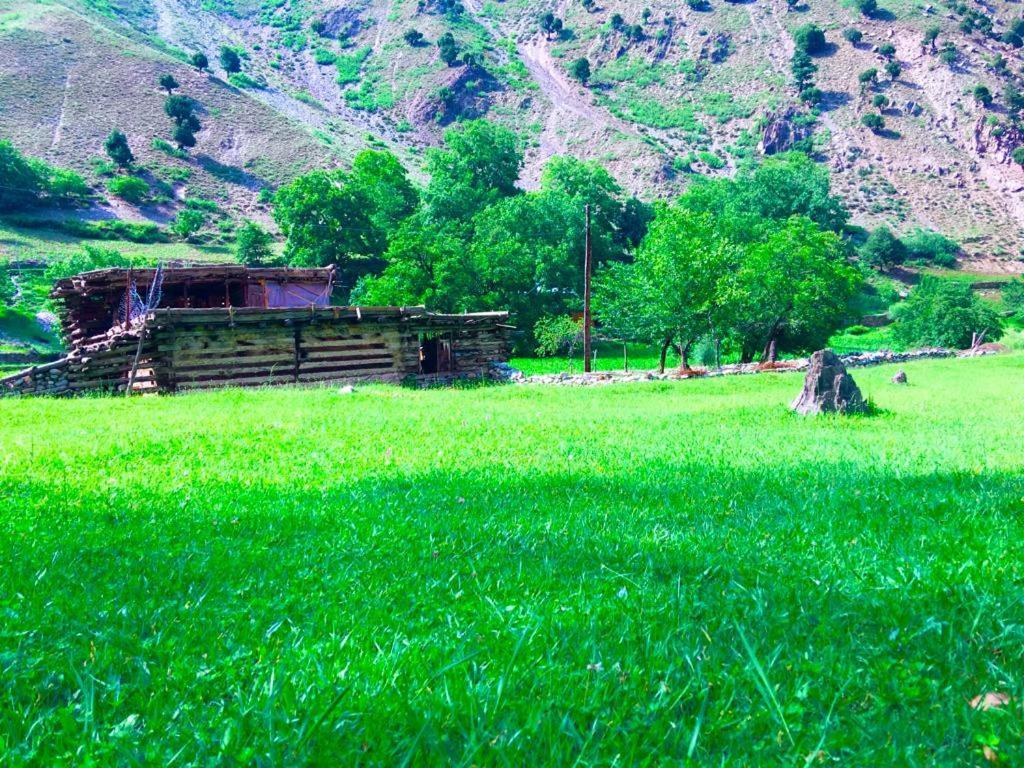 Chitral Inn Resort Екстериор снимка